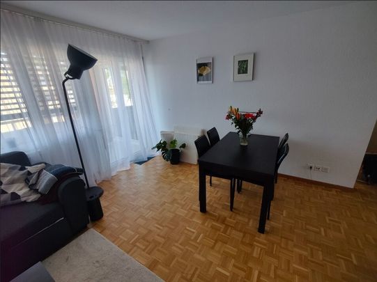 Renovierte 4.5 Zimmerwohnung an zentraler Lage - Photo 1