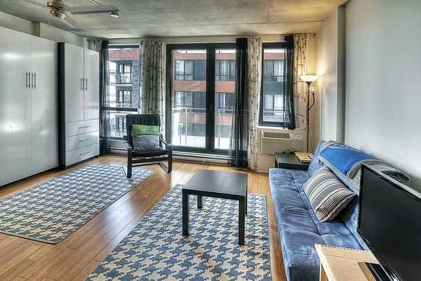 Condo for rent, Montréal (Le Sud-Ouest) - Photo 1