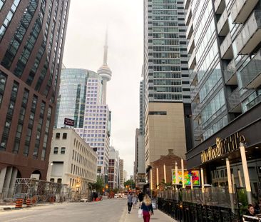 For Lease - 295 Adelaide Street Unit# 217, Toronto, Ontario - Photo 2