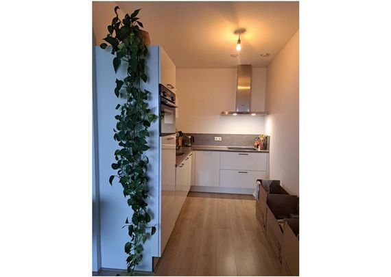 Fultonbaan 5-13, Rijnhuizen, 3439NE, Nieuwegein - Photo 1