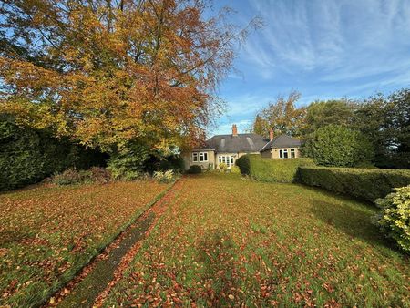 Bungalow to rent on - Photo 4