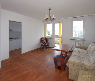 Wynajem, Gumieńce kawalerka z balkonem - Zdjęcie 2