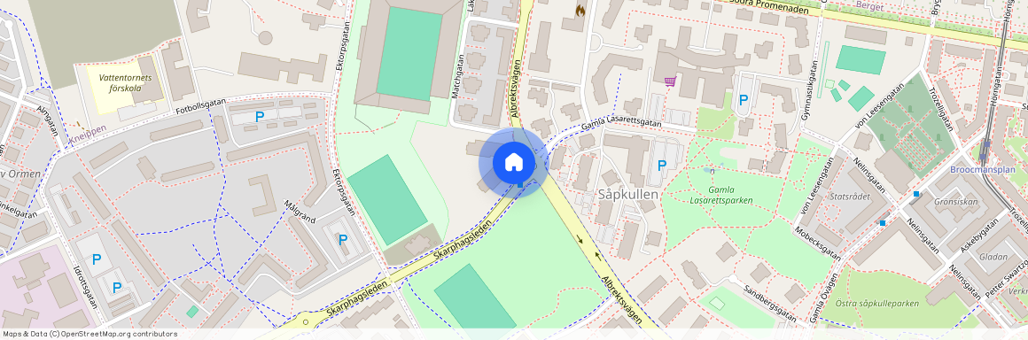 Gamla Lasarettsgatan 19, Gamla Lasarettet