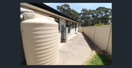 Big and Bright - Photo 4