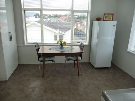 Sunny, spacious and peaceful in St Kilda - Photo 5