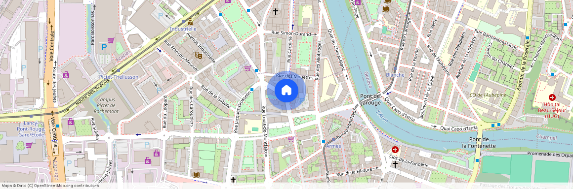 1227, Carouge GE, Rue Caroline