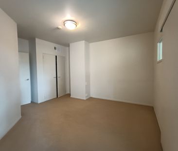 51 Vivian Street, Te Aro - Photo 1