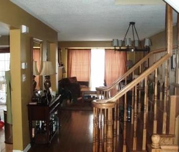Horseshoe Valley Rd. - Photo 1