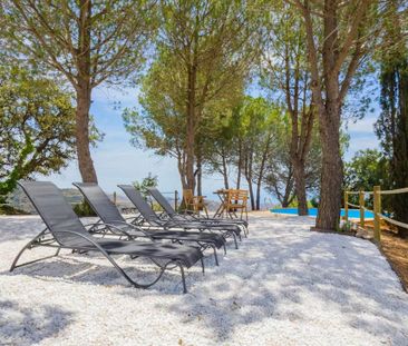 Calle El Salvador, Málaga, Andalusia 29017 - Photo 4