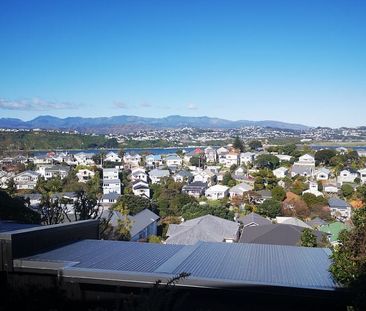 2/93 Rakau Road, Hataitai - Photo 5