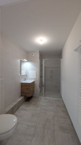 Location Appartement 2 pièces 43m² MITTELHAUSBERGEN 67206 - Photo 4