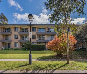 Stylish 1-Bedroom Apartment in the Heart of Subiaco! - Photo 2