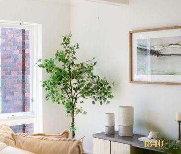 7/14-18 John Street, Payneham SA 5070 - Apartment For Rent | Domain - Photo 2