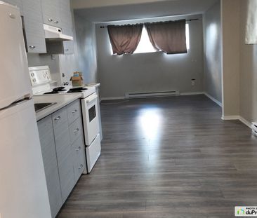 1A-3, rue Guertin, Gatineau (Gatineau) à louer - Photo 2