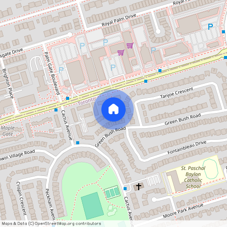 537 Steeles Avenue (Basement), Toronto