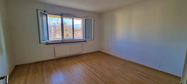 Appartement de 3 pièces au rez-de-chaussée - Photo 1