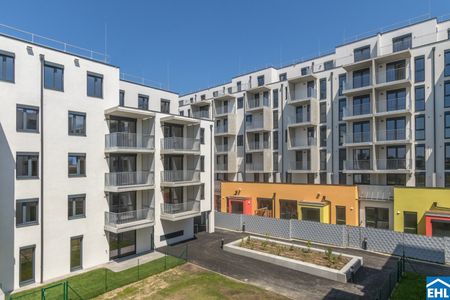 DER BALLON - Ankommen und abheben - NATURNAHES WOHNEN NAHE DER SEESTADT ASPERN - Photo 3