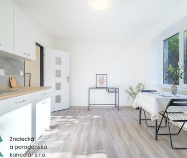 Pronájem bytu 1+1, Střekov, Ústí nad Labem - Photo 1