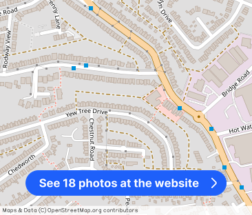 Yew Tree Drive, BRISTOL - Photo 1