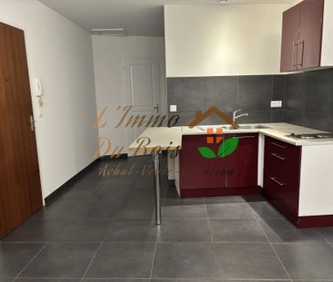 Location Appartement 1 pièce 25m² VIENNE 38200 - Photo 4