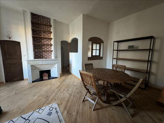 1 pièce - Meublé - 45 m² - 1er étage - Colocation non autorisée - Photo 1