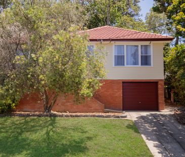 53 Ashbury Street, Adamstown Heights NSW 2289 - House For Rent | Do... - Photo 2