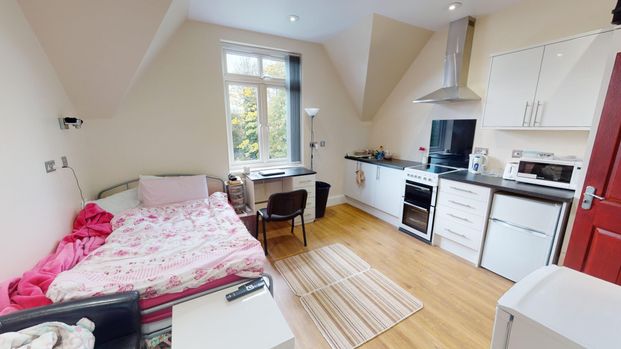 3 Raglan Road Edgbaston - Photo 1