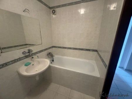 Pronájem bytu 2+1 /OV/, 57 m - Fotografie 5