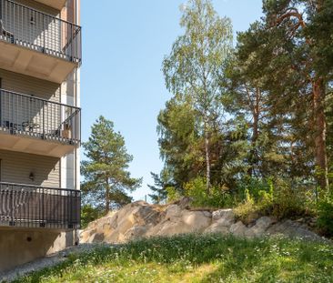 Gulsporregatan 2D - Photo 5