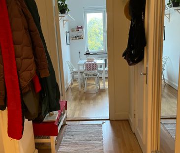 Rolfsgatan, Malmö - Photo 3