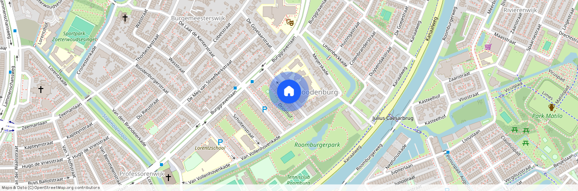 Professorenwijk-Oost, 2313 JD, Oppenheimstraat, Leiden