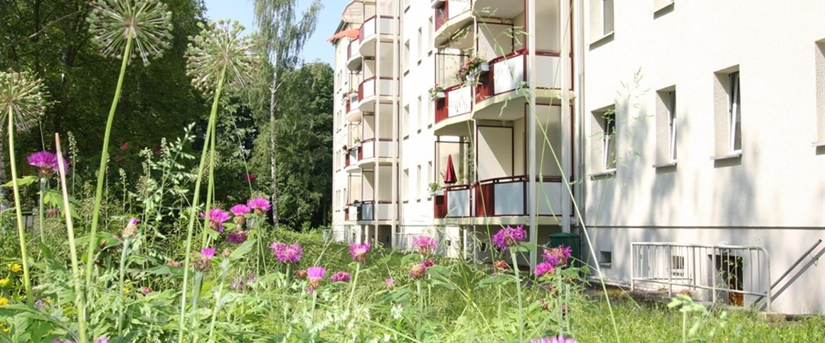 Sonnige, möblierte 1-Raum-Wohnung mit Dusche - Foto 1