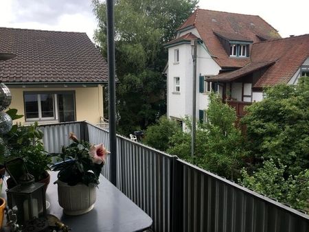 4-ROOM APARTMENT IN SCHAFFHAUSEN, FURNISHED, TEMPORARY - Photo 4