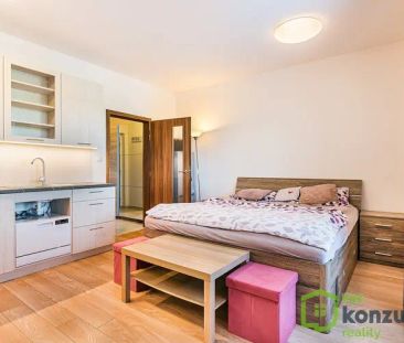 Pronájem bytu 1+kk s balkonem v Brně Žebětíně - Photo 5
