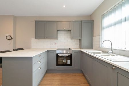 Apt 3, 17 Camden Street, Belfast BT9 6AT - Photo 4