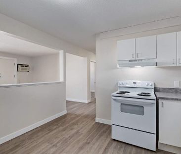 Renovated Suite - 1 Bedroom - Photo 1