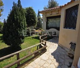 Μονοκατοικία για ενοικίαση - Καπανδρίτι - Photo 6