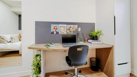 Standard Studio - Photo 3