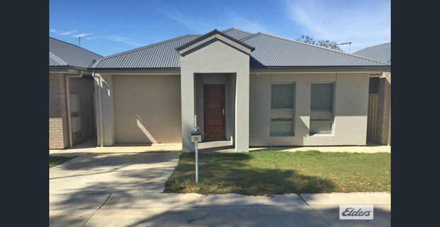 Modern Home in Quiet Location! - Photo 1