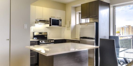 Tour du Parc - Photo 3