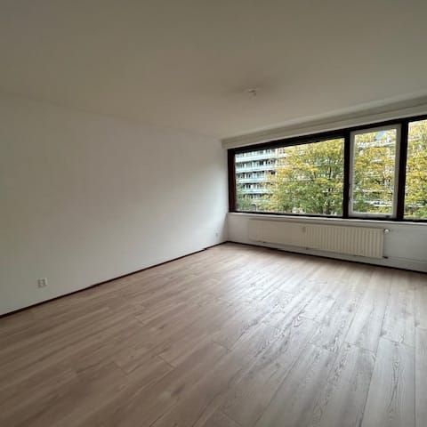 Appartement te huur: Richard Holstraat 41 2551 HM Den Haag - Photo 1