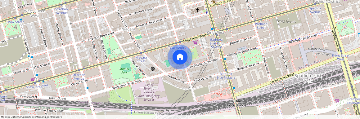 60A Tecumseth Street, Toronto