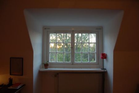 Nära naturen på Lidingö - Foto 3