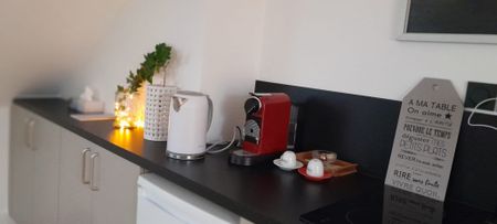 Location Appartement 1 pièce 20m² ORLEANS 45000 - Photo 5