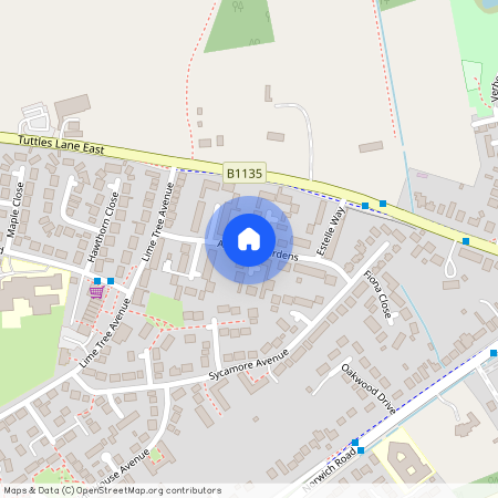 Ashleigh Gardens, WYMONDHAM