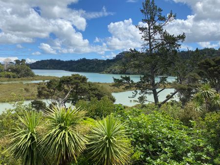 Peaceful setting with gorgeous estuary views - Photo 5