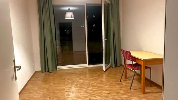 3½ Zimmer-Wohnung in Zürich - Kreis 3 Binz, möbliert, auf Zeit - Photo 1