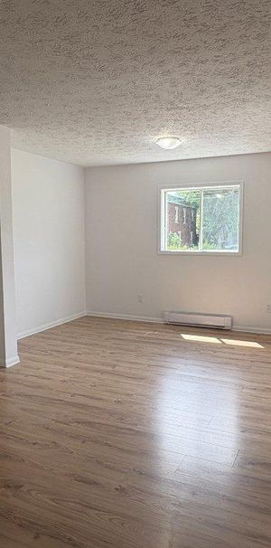 Plusieurs unités disponibles dans un immeuble calme et bien entretenu - Photo 1
