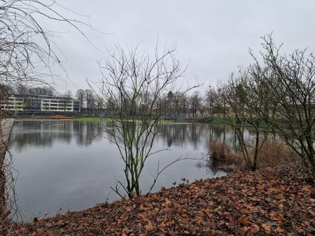 Henriette Ronnerstraat 53 - Foto 4