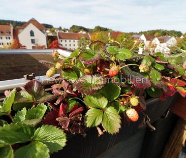 Brunnenstraße 3, 93152 Nittendorf - Photo 5